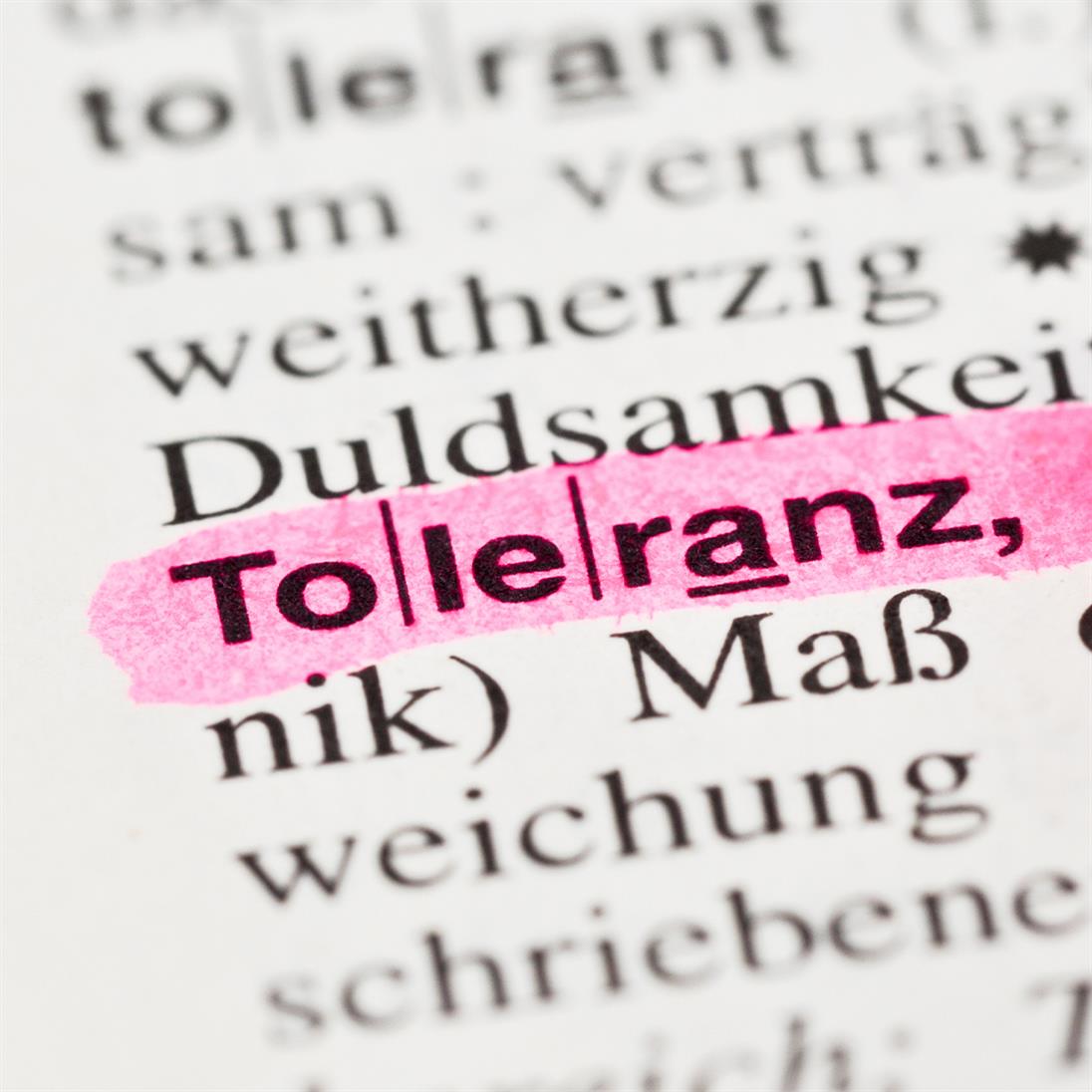 The picture shows the word tolerance in a dictionary. It is marked with a pink marker. 
